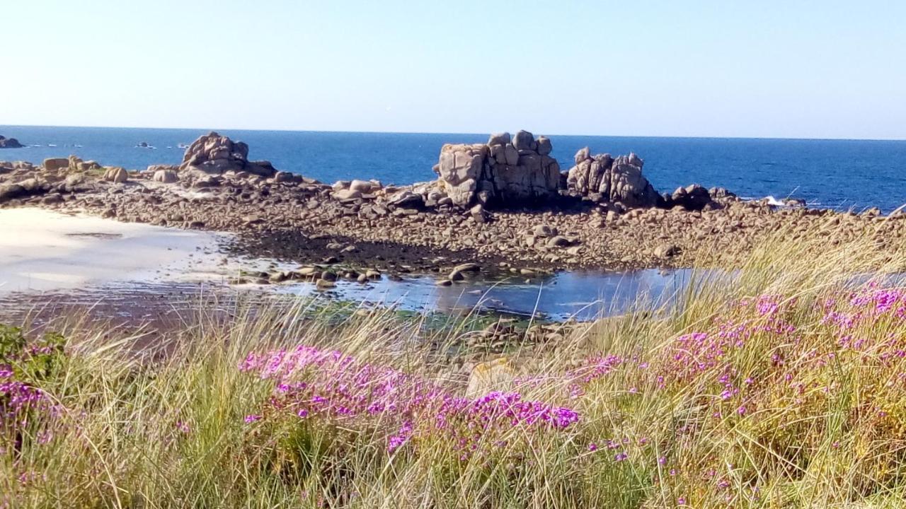 Tiny House Sur La Cote Bretonne Villa Cleder Bagian luar foto